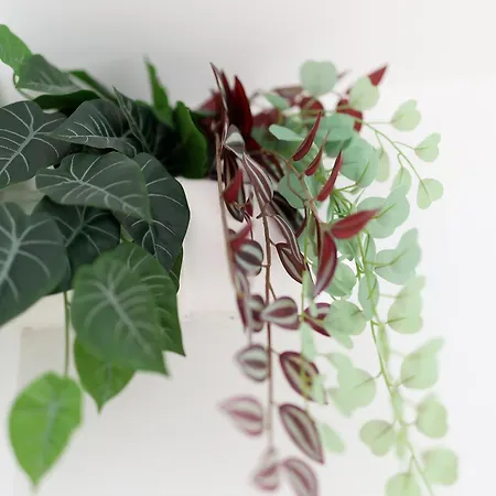 Modern Flat 公寓 *