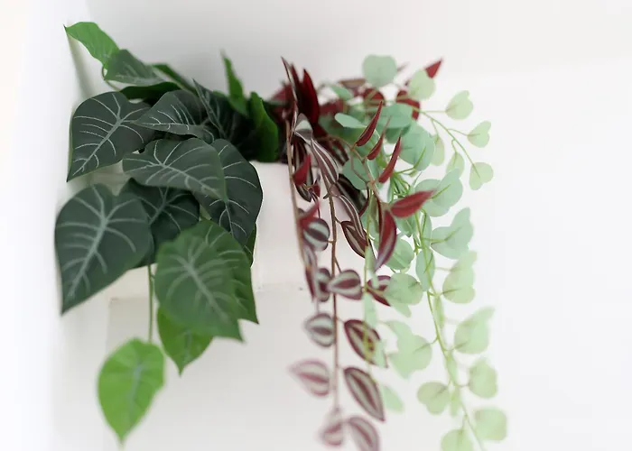 Modern Flat 公寓 *