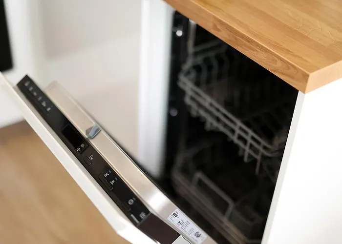 Modern Flat 公寓 里耶卡