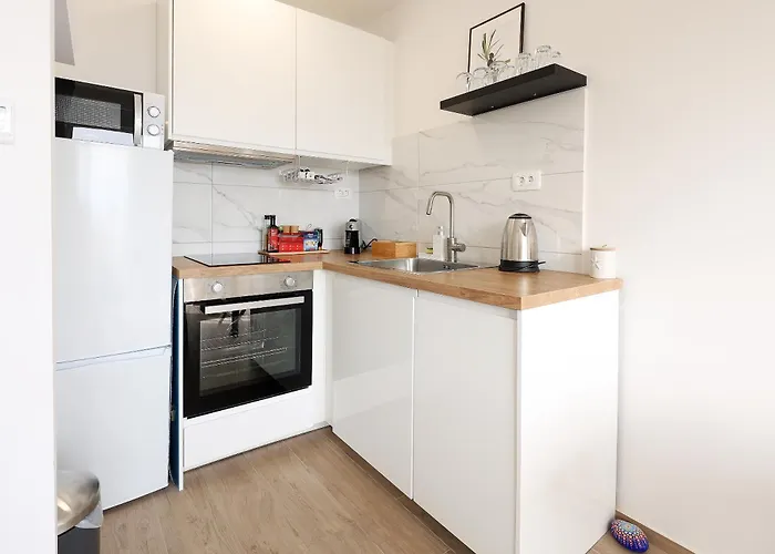 Modern Flat * 里耶卡